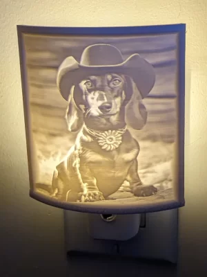 nightlight western dog